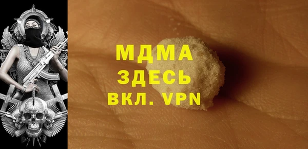 гашик Гусев