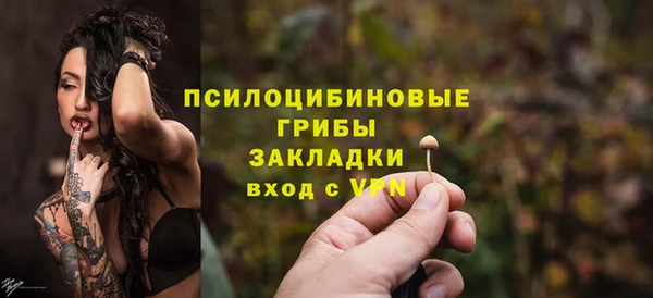 гашик Гусев