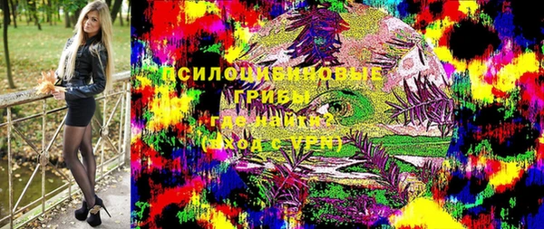 гашик Гусев