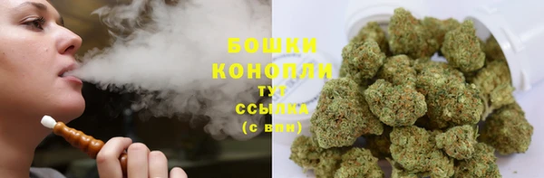 молекула духа Гусиноозёрск