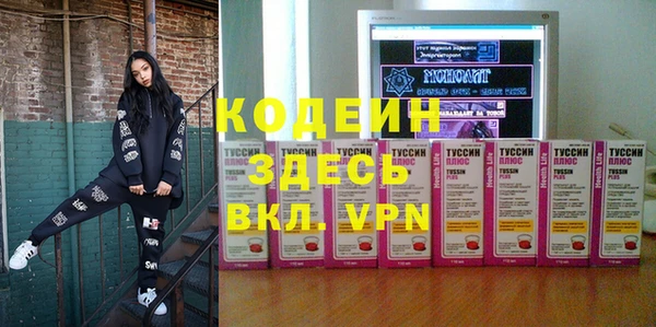 гашик Гусев