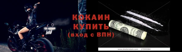 гашик Гусев