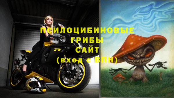 гашик Гусев