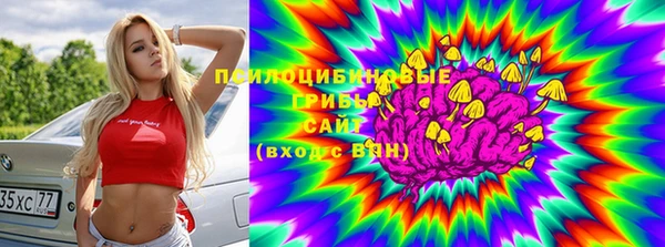 молекула духа Гусиноозёрск