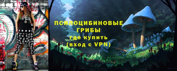 прущий лед Гусь-Хрустальный
