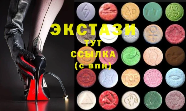гашик Гусев