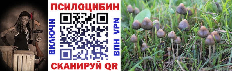 Купить  Инза  Псилоцибиновые грибы GOLDEN TEACHER 
